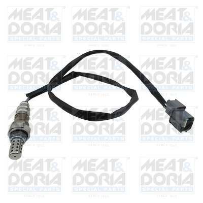 Oxygen Sensor